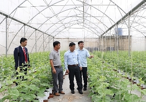 Huyện Hiệp Hòa - Bắc Giang được công nhận đạt chuẩn nông thôn mới